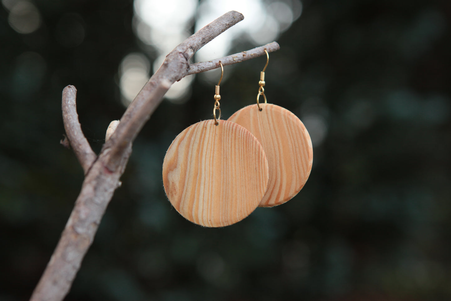 0004 Lärche Ohrhänger