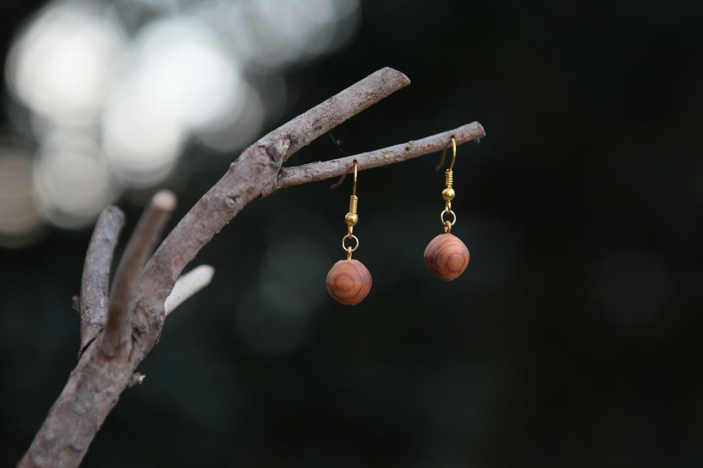 0014 Eibe Ohrhänger