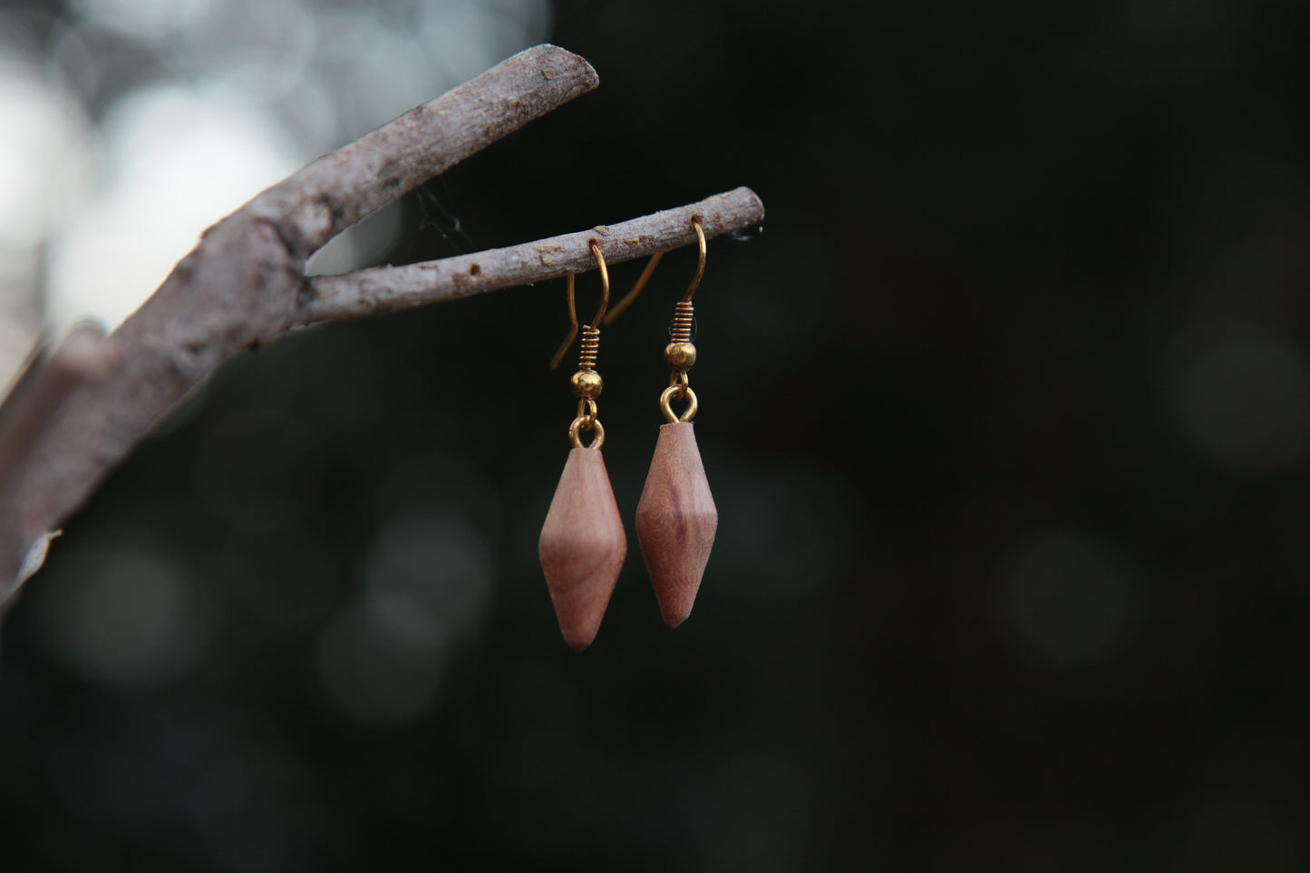 0007 Afrikanischer Apfel Ohrhänger